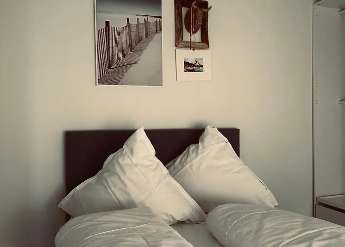 Anina 住宿加早餐酒店 3*