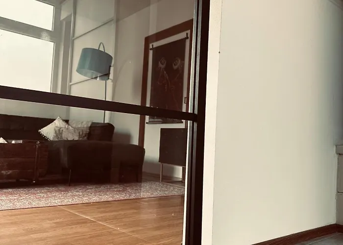 住宿加早餐酒店 Anina